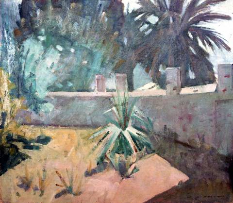 "L'agave e il muro dell'orto" opera di Virginio Bianchi