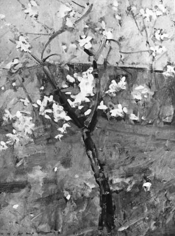 "Ciliegio in primavera" opera di Virginio Bianchi